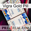 Vigra Gold Pill kamagra1